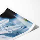 Extra large rolled print featuring line art flowers in black and white, ideal for large living room wall art.