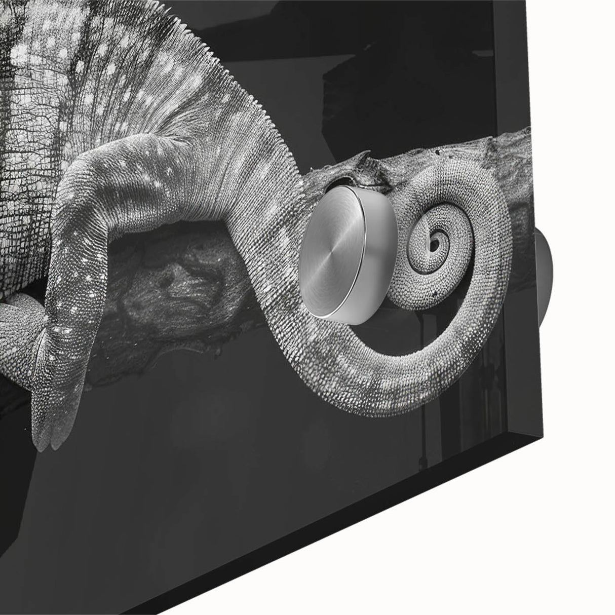Close-up of a vibrant chameleon wall art design showcasing intricate details and vivid colors, ideal for reptile enthusiasts and home decor lovers.