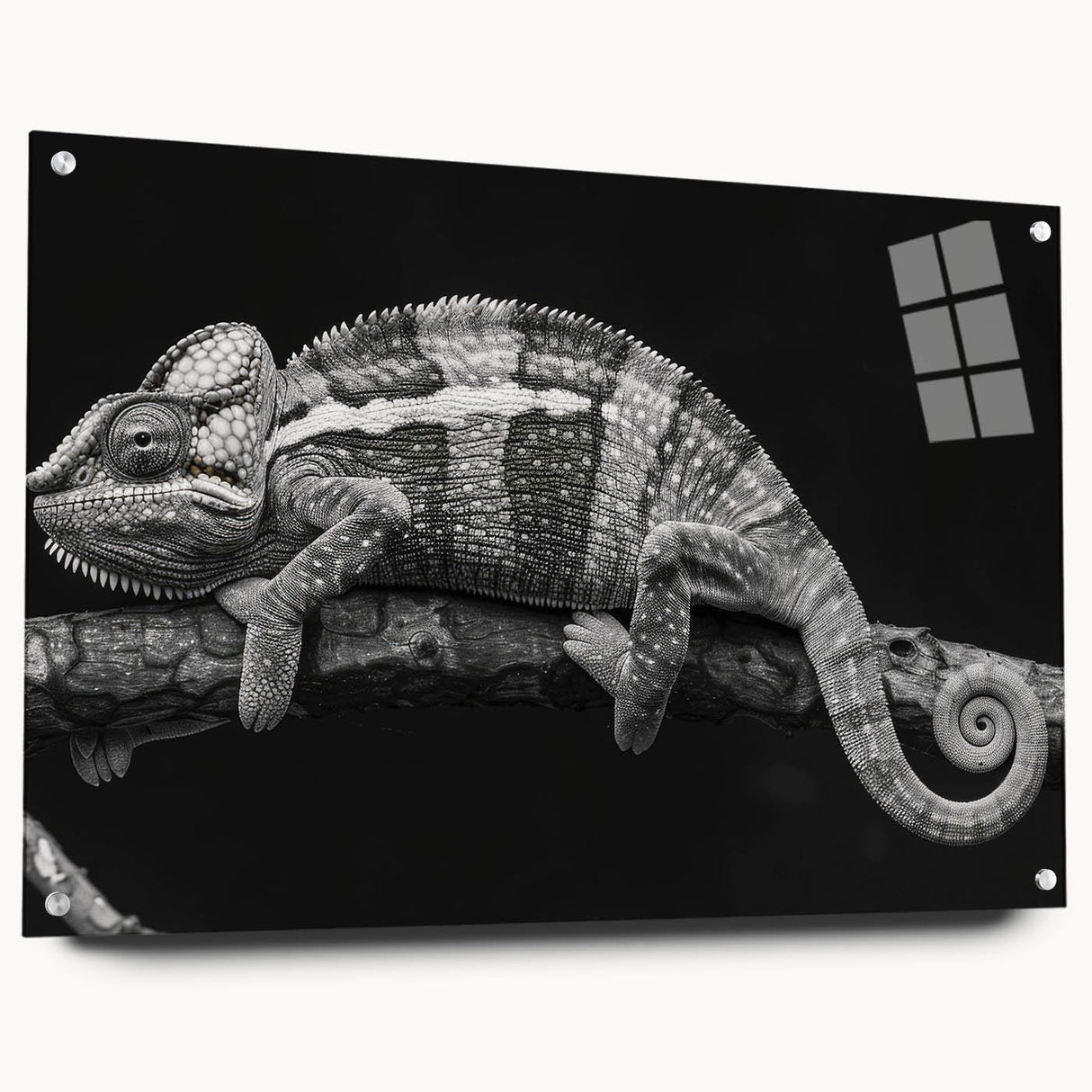 Colorful chameleon wall art design in acrylic glass, showcasing vibrant hues and intricate details, mounted with pins for a modern display. This unique piece enhances reptile-themed decor and adds a lively touch to any room.