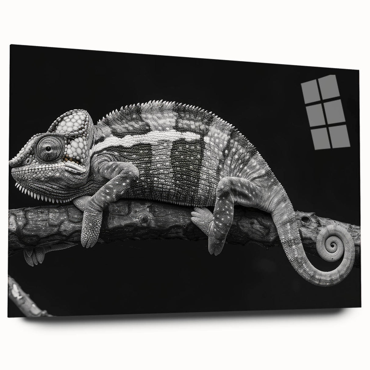 Vibrant chameleon wall art design displayed in an acrylic glass frame, showcasing intricate details and colors, ideal for reptile enthusiasts' decor.