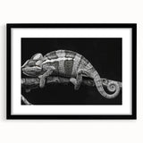 Framed wall art featuring a vibrant chameleon design in a modern black frame, showcasing intricate colors and details perfect for reptile enthusiasts and home decor.