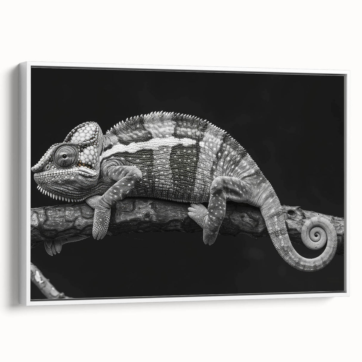 Framed wall art showcasing a vibrant chameleon design on canvas, featuring vivid colors against a white backdrop, perfect for reptile enthusiasts' decor.