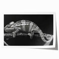 Vibrant chameleon wall art print showcasing intricate designs and colors, rolled and ready for display in a secure cardboard tube, ideal for reptile enthusiasts.