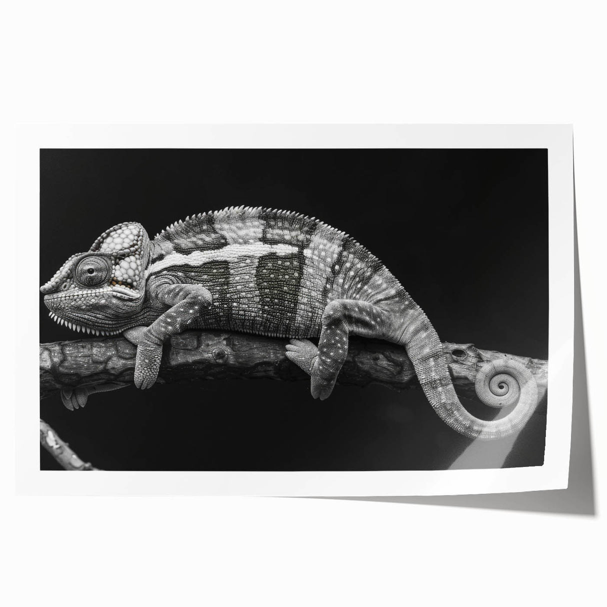 Vibrant chameleon wall art print showcasing intricate designs and colors, rolled and ready for display in a secure cardboard tube, ideal for reptile enthusiasts.