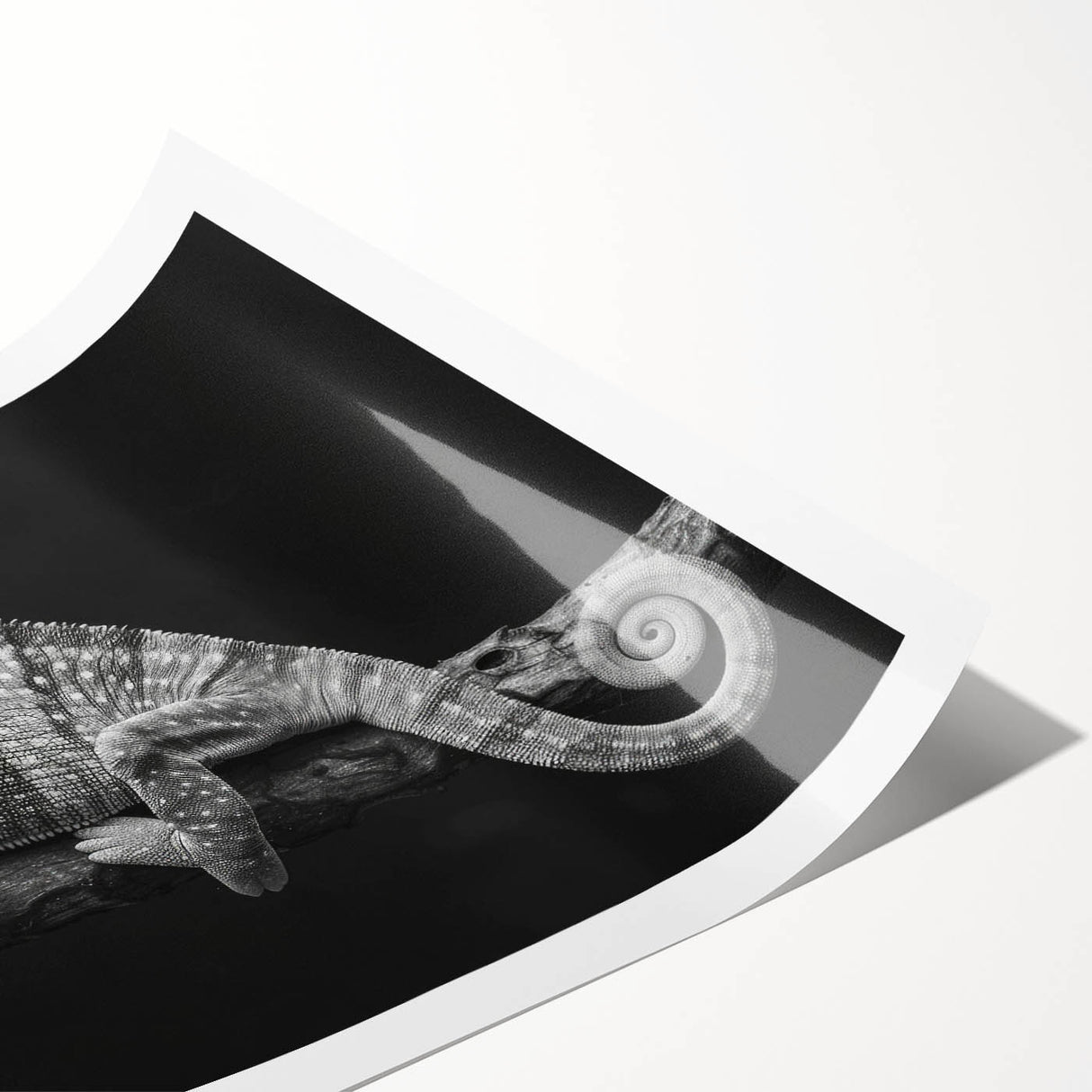 Colorful chameleon wall art print featuring intricate details and vibrant hues, rolled and ready for framing, ideal for enhancing any living space or reptile-themed decor.