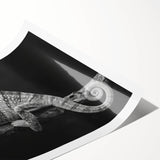 Colorful chameleon wall art print featuring intricate details and vibrant hues, rolled and ready for framing, ideal for enhancing any living space or reptile-themed decor.
