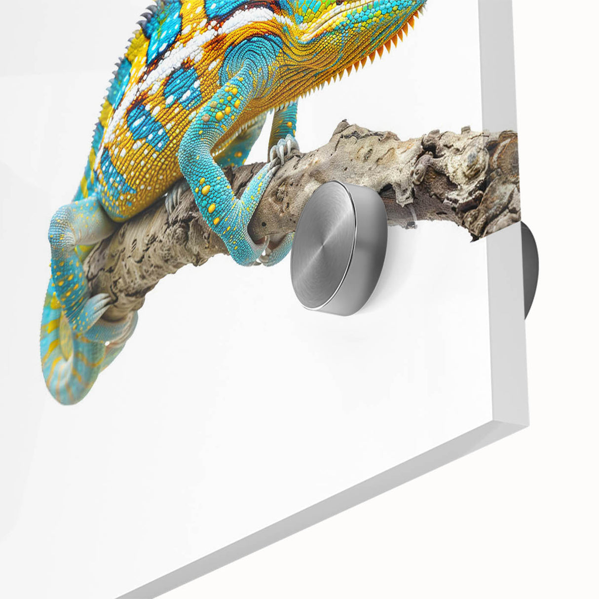 Close-up view of a vibrant chameleon wall art piece, showcasing detailed acrylic glass design with bright colors and intricate patterns, perfect for reptile enthusiasts.
