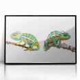 Framed wall art featuring a vibrant chameleon design in acrylic, showcasing intricate details and a sleek black frame, perfect for reptile and nature enthusiasts.
