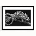 Framed wall art featuring a vibrant chameleon design, showcasing intricate details and bold colors, perfect for adding a unique touch to any living space.