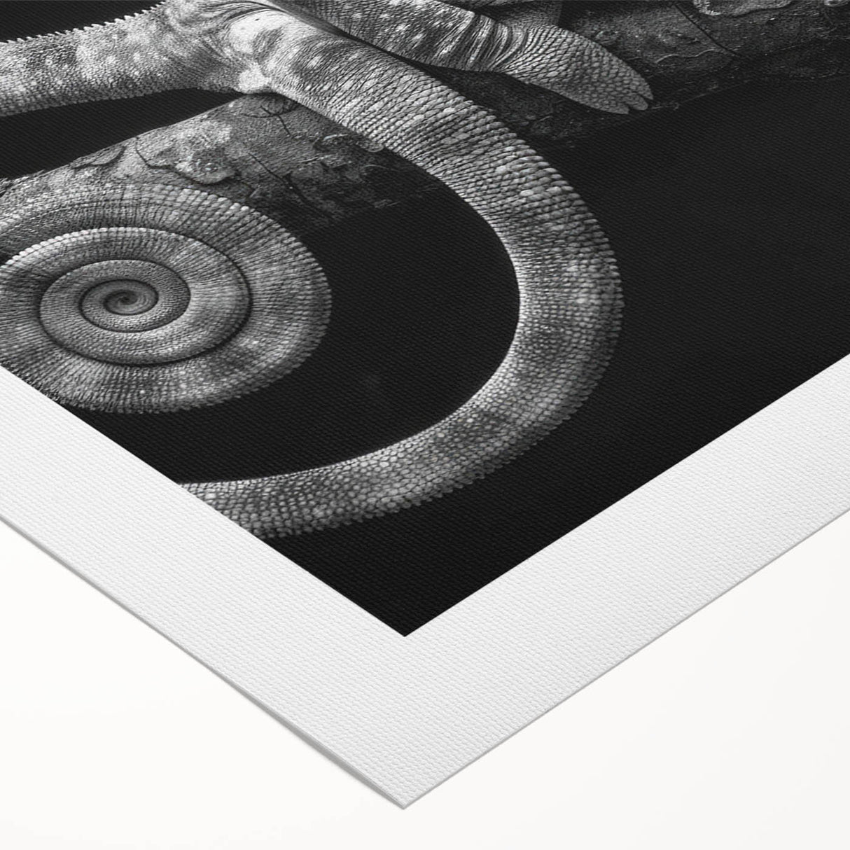 Vibrant rolled canvas wall art featuring a chameleon design, showcasing intricate details and vivid colors, perfect for adding a touch of nature-inspired decor to any space.
