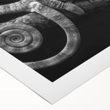 Vibrant rolled canvas wall art featuring a chameleon design, showcasing intricate details and vivid colors, perfect for adding a touch of nature-inspired decor to any space.