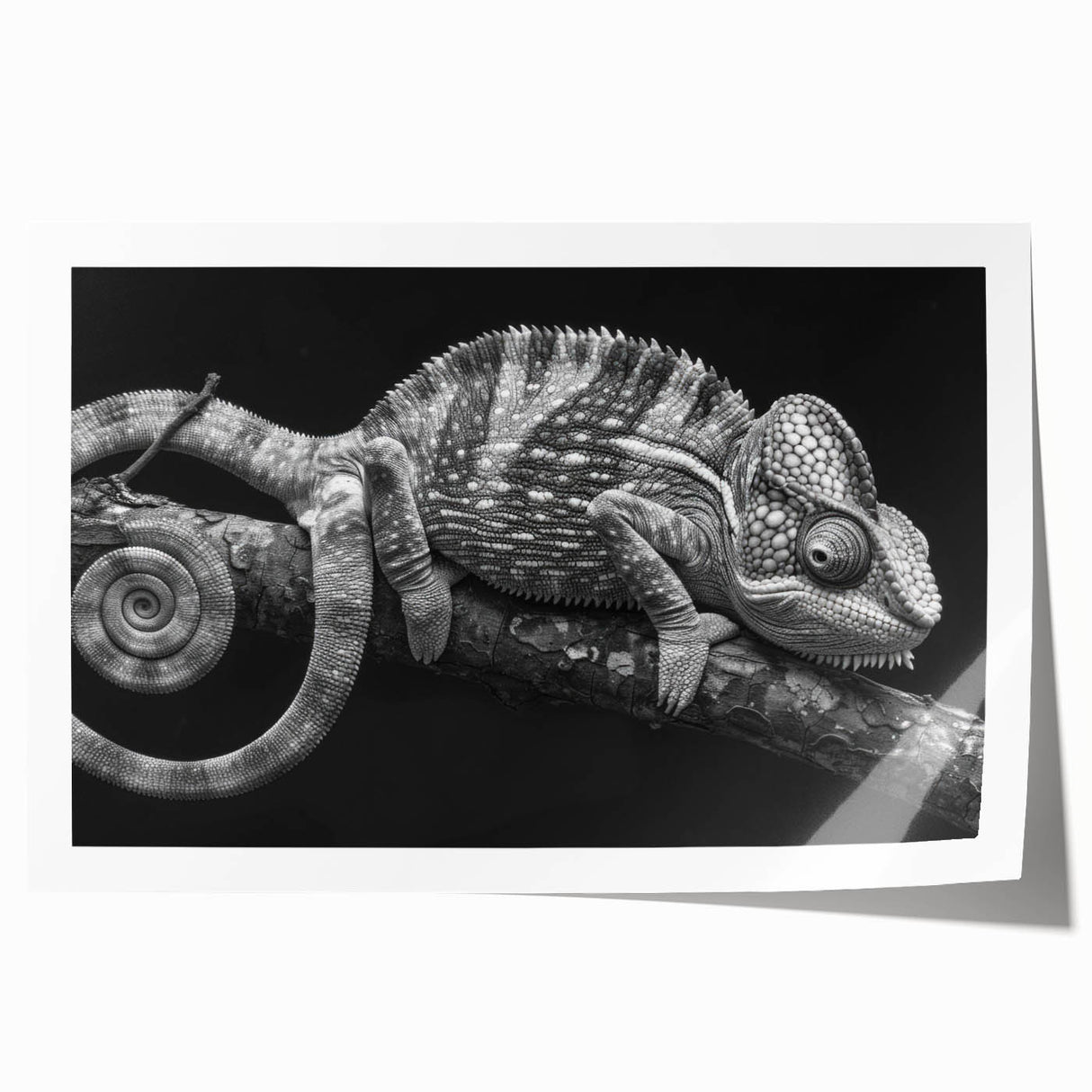 Vibrant chameleon wall art print showcasing intricate design details and vivid colors, rolled for easy display and shipping, perfect for reptile enthusiasts.