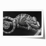 Vibrant chameleon wall art print showcasing intricate design details and vivid colors, rolled for easy display and shipping, perfect for reptile enthusiasts.