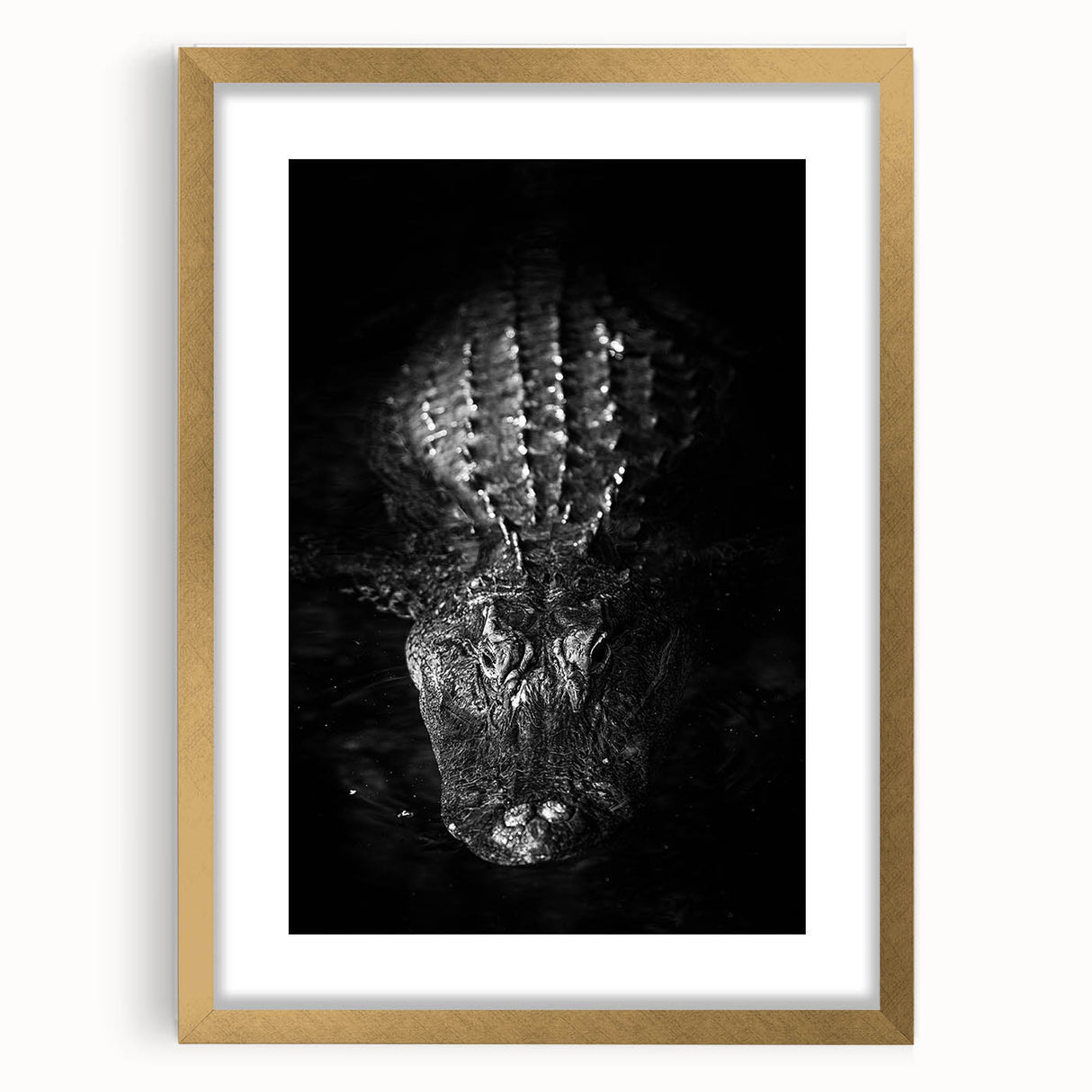 Framed wall art featuring a striking design of reptiles, specifically alligators and crocodiles, with a gold mat and sleek wooden frame, ideal for nature enthusiasts.