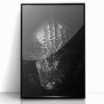Framed acrylic wall art showcasing a vibrant reptile design featuring alligators and crocodiles, with a sleek black frame, perfect for enhancing any decor.