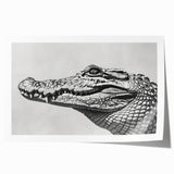 Vibrant rolled print showcasing a detailed design of reptiles, including gators and crocodiles, perfect for nature-themed decor. Ideal for wildlife enthusiasts.