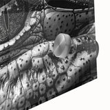 Close-up of a vibrant acrylic wall art piece showcasing a detailed design of reptiles, including alligators and crocodiles, ideal for wildlife enthusiasts.