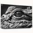 Acrylic wall art featuring a vibrant design of reptiles, including alligators and crocodiles, displayed from a side view with decorative pins, perfect for nature enthusiasts.