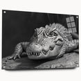 Acrylic wall art featuring a vibrant reptile design showcasing alligators and crocodiles, displayed from the side with decorative pins, ideal for wildlife enthusiasts.