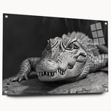 Acrylic wall art featuring a vibrant reptile design showcasing alligators and crocodiles, displayed from the side with decorative pins, ideal for wildlife enthusiasts.