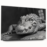 Colorful acrylic wall art collection showcasing vibrant reptile designs featuring alligators and crocodiles, displayed in a side view, perfect for animal lovers.