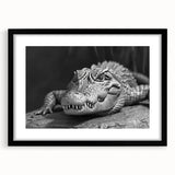 Framed wall art collection featuring a vibrant design of reptiles, gators, and crocodiles, set against a sleek black mat, perfect for nature enthusiasts.