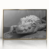 Framed acrylic wall art showcasing a vibrant design of reptiles, including alligators and crocodiles, with a gold border, perfect for enhancing any room's decor.