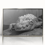 Framed acrylic wall art showcasing a vibrant design of reptiles, gators, and crocodiles, featuring a sleek silver frame that enhances its modern aesthetic. Ideal for wildlife enthusiasts or home decor.