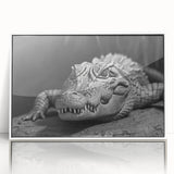 Framed acrylic wall art featuring a vibrant reptile design showcasing alligators and crocodiles in a white frame, ideal for animal lovers and home decor enthusiasts.