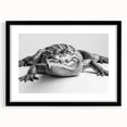 Framed wall art collection showcasing a vibrant reptile-themed design featuring gators and crocodiles, with a sleek black frame and mat for an elegant display. Perfect for wildlife enthusiasts and home decor.