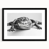 Framed wall art collection showcasing a vibrant reptile-themed design featuring gators and crocodiles, with a sleek black frame and mat for an elegant display. Perfect for wildlife enthusiasts and home decor.