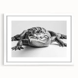 Framed wall art featuring a detailed design of reptiles, including alligators and crocodiles, set in a white mat and frame, perfect for enhancing wildlife-themed decor.