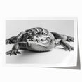 Vibrant wall art collection showcasing a detailed design of reptiles, including alligators and crocodiles, perfect for wildlife enthusiasts. The print features rich colors and intricate textures, ideal for home decor.