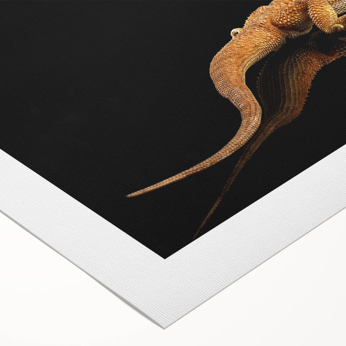Vibrant rolled canvas art depicting a detailed lizard design, showcasing intricate patterns and colors, ideal for reptile enthusiasts and home decor. Perfect for adding a unique touch to any room or office space.