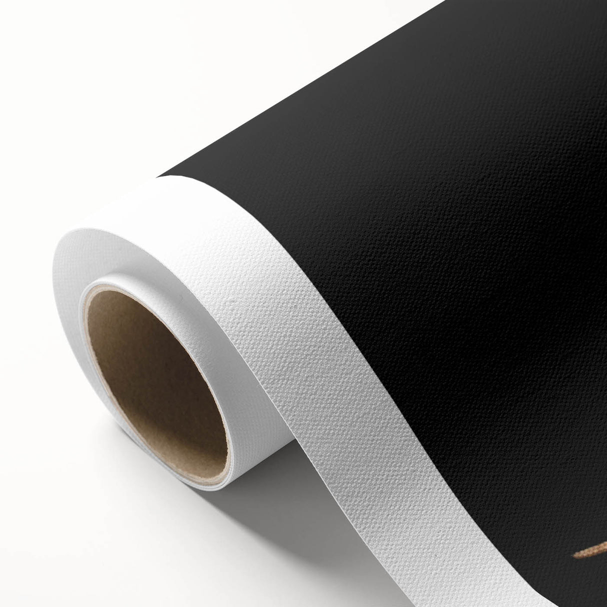 Colorful rolled canvas artwork showcasing a detailed lizard design, part of a reptile-themed wall art collection, presented in a protective cardboard tube for shipping.