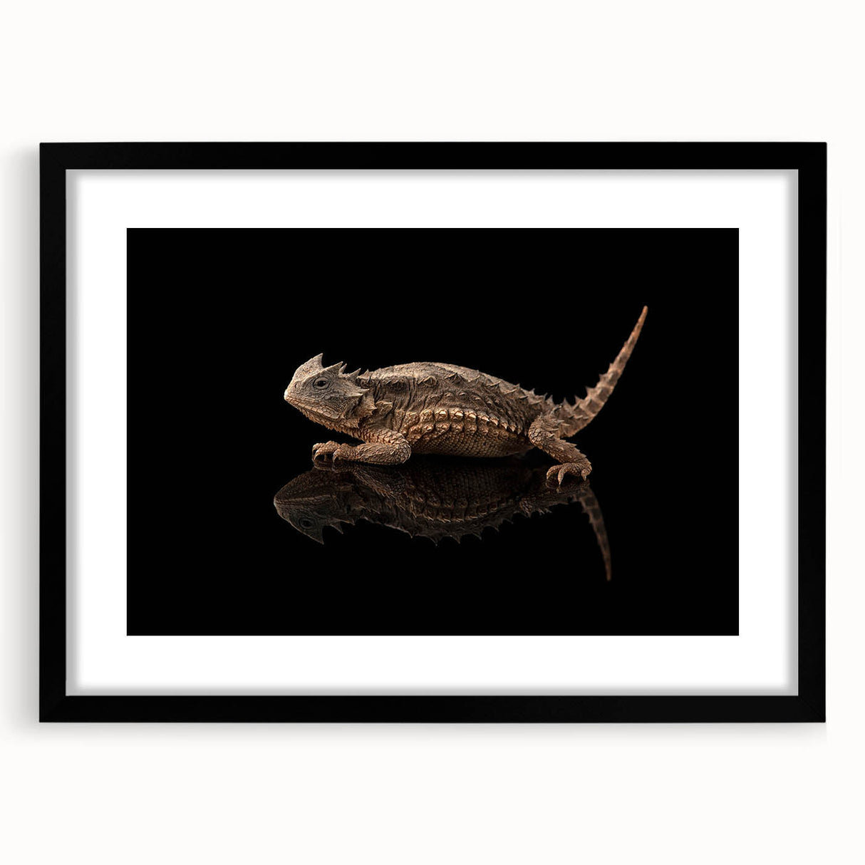 Framed wall art featuring a vibrant reptile lizard design in bold colors, set in a sleek black frame with a mat, perfect for enhancing modern home decor.