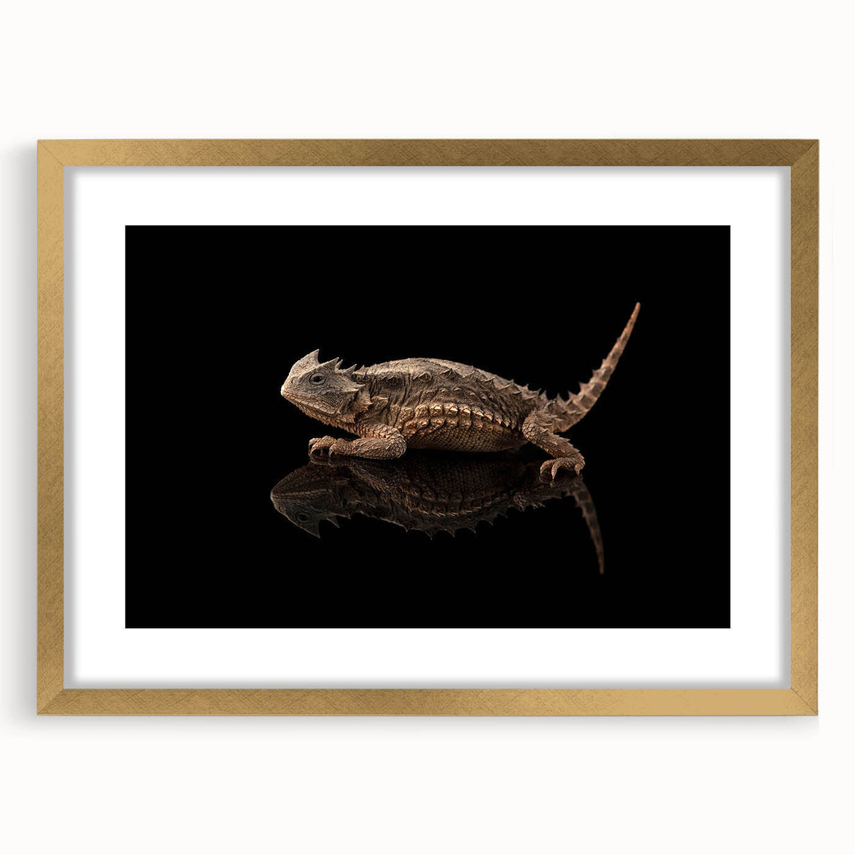 Framed wall art featuring a vibrant lizard design in gold tones, set against a sleek mat, perfect for reptile enthusiasts and modern decor styles.