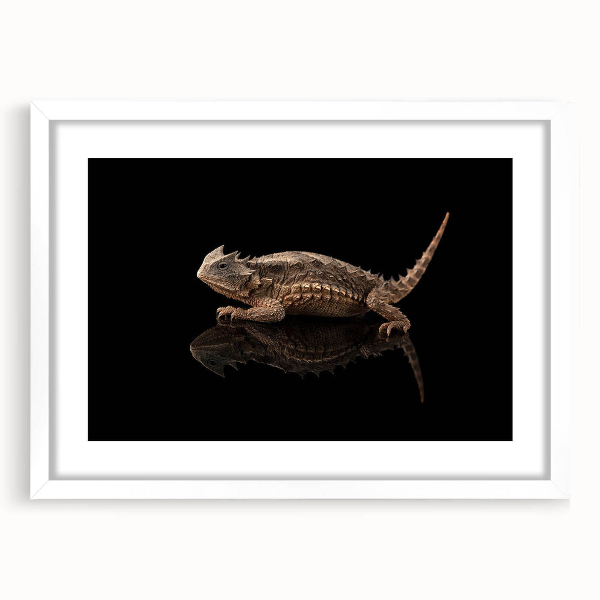 Framed wall art featuring a colorful reptile lizard design, displayed with a white mat, ideal for enhancing home decor in nature-themed interiors.