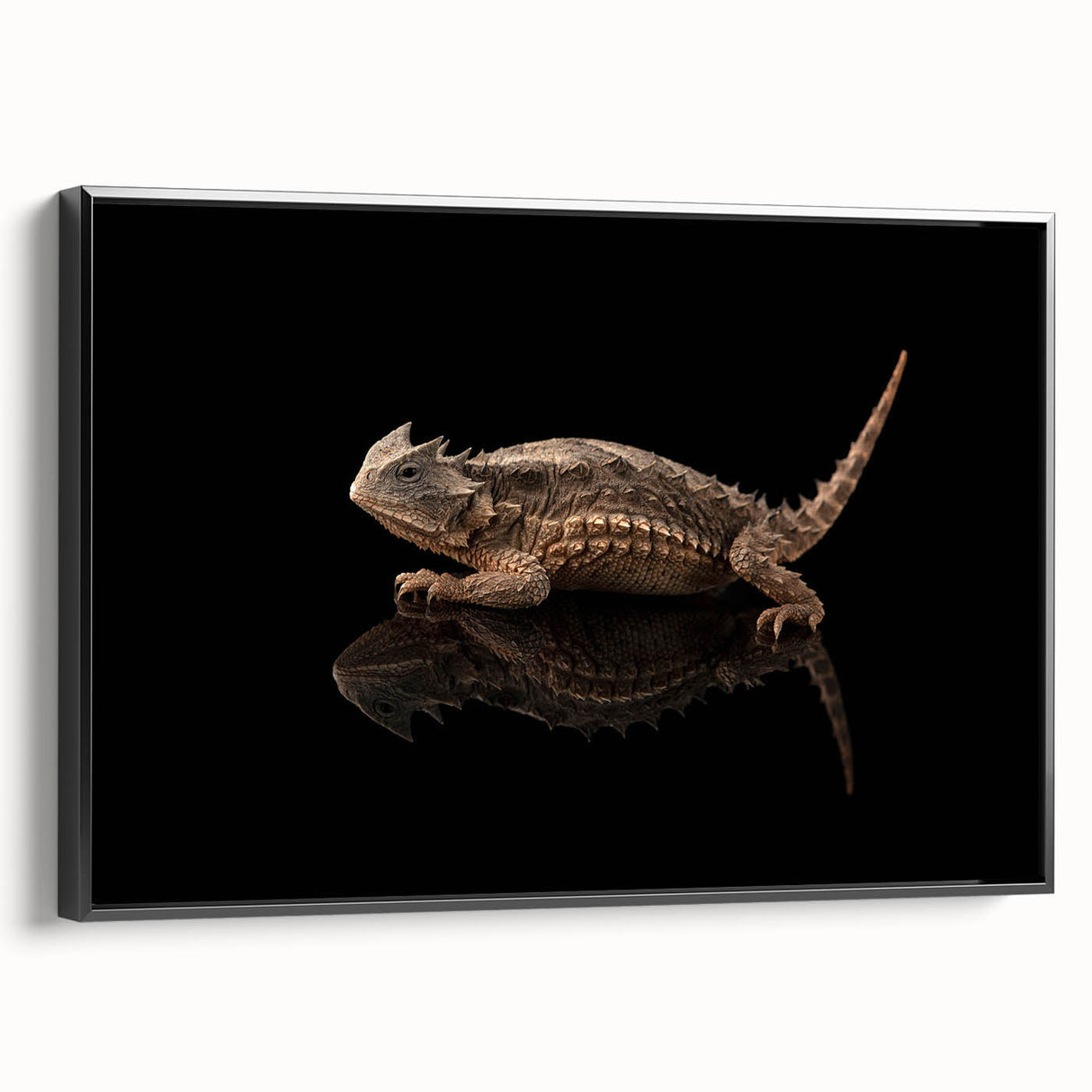 Framed wall art showcasing a vibrant reptile and lizard design on canvas, featuring a sleek black frame, perfect for adding a unique touch to modern decor.