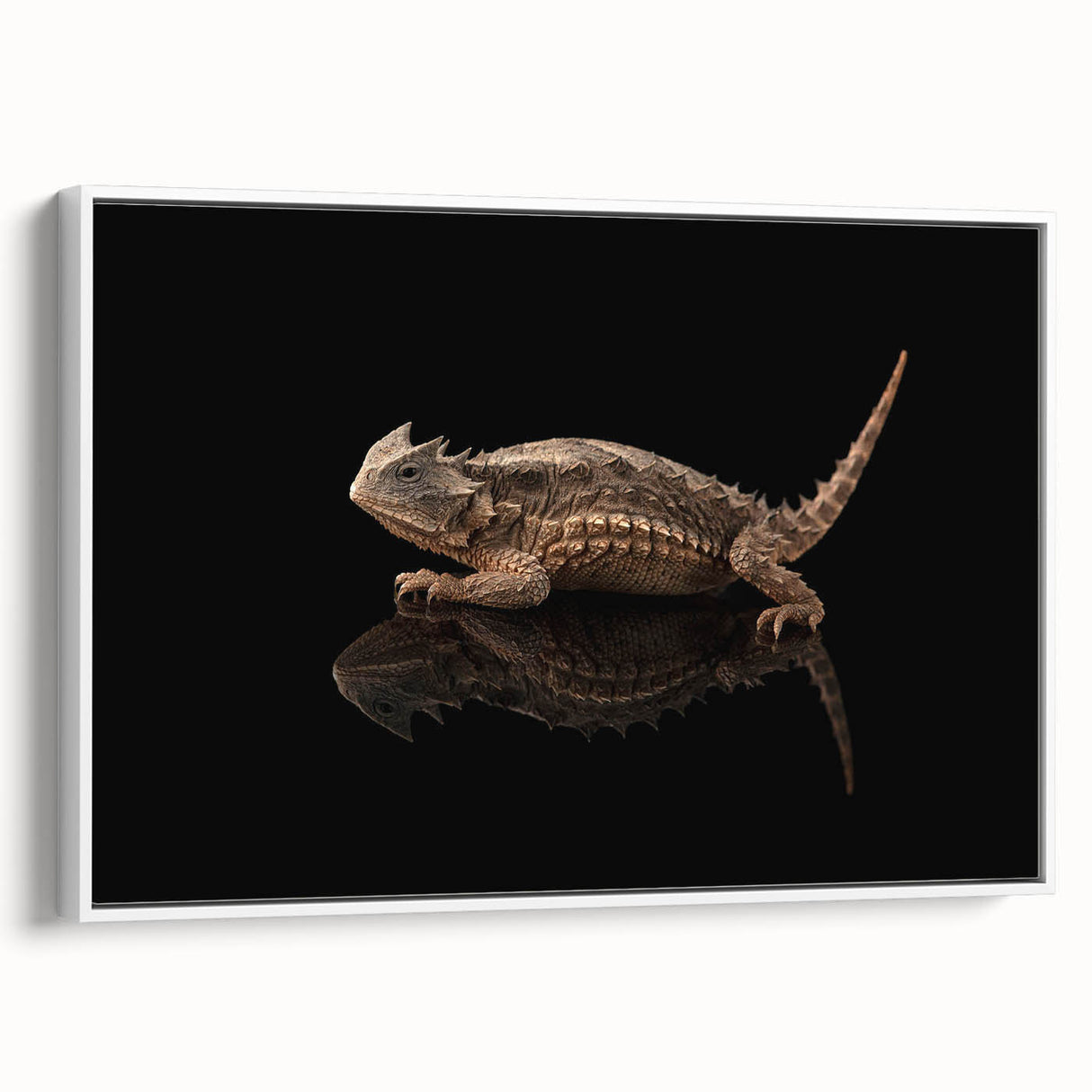 Framed wall art showcasing a vibrant reptile lizard design on canvas, highlighting intricate patterns and colors, perfect for enhancing modern home decor.