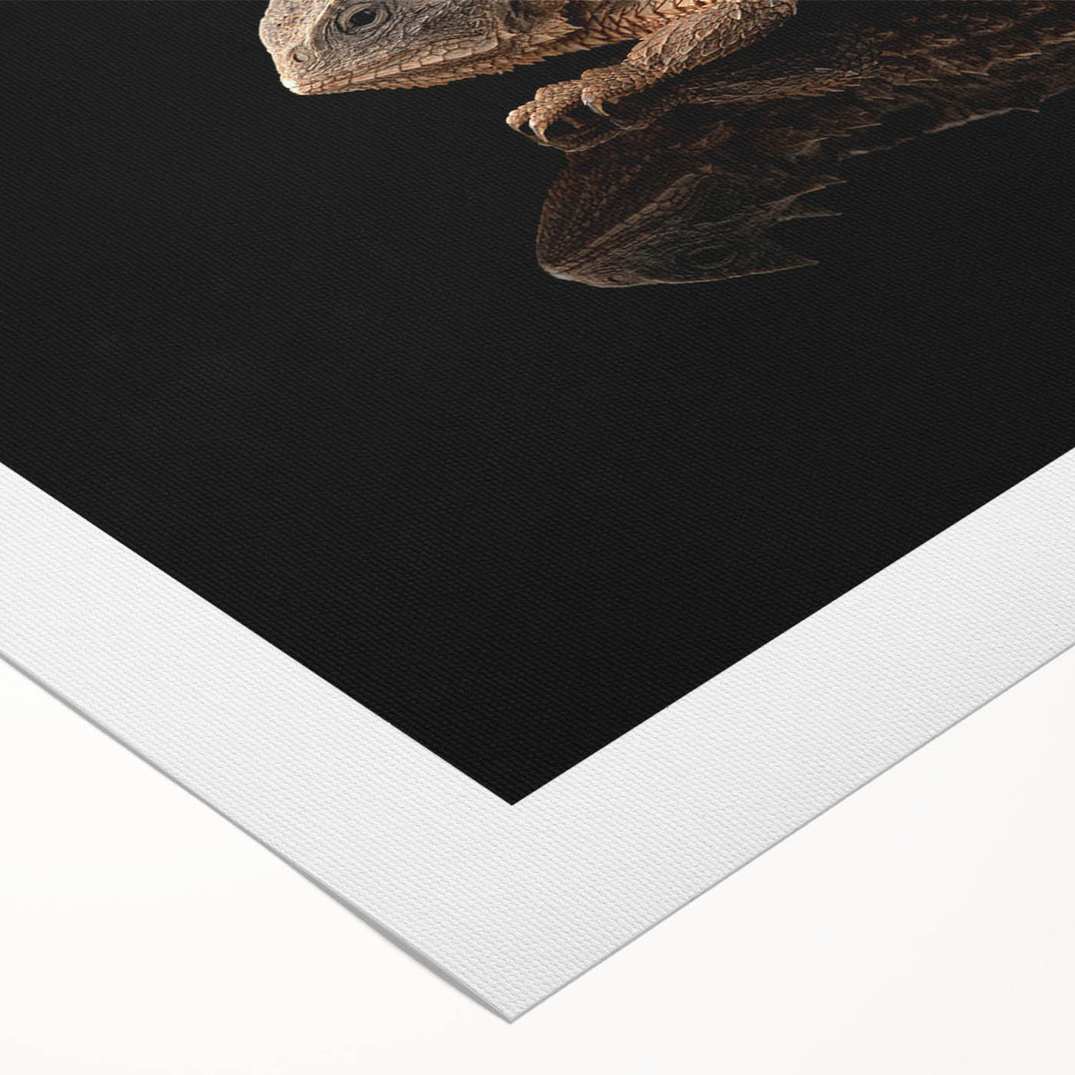 Vibrant rolled canvas artwork showcasing a detailed lizard design, perfect for reptile enthusiasts and nature lovers, elegantly packaged for display.