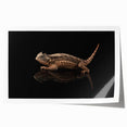 Colorful rolled print showcasing a vibrant reptile and lizard design, perfect for enhancing modern home decor. Ideal for animal lovers and art enthusiasts.