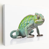 Close-up view of a vibrant reptile lizard wall art design on stretched canvas, showcasing intricate details and vivid colors, perfect for nature enthusiasts and home decor.
