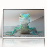 Framed wall art featuring a vibrant lizard design on a white background, perfect for reptile enthusiasts, adding a colorful touch to home decor.