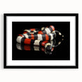 Black-framed wall art featuring a striking reptile and snake design, showcasing intricate details and vibrant colors, perfect for enhancing any modern decor.
