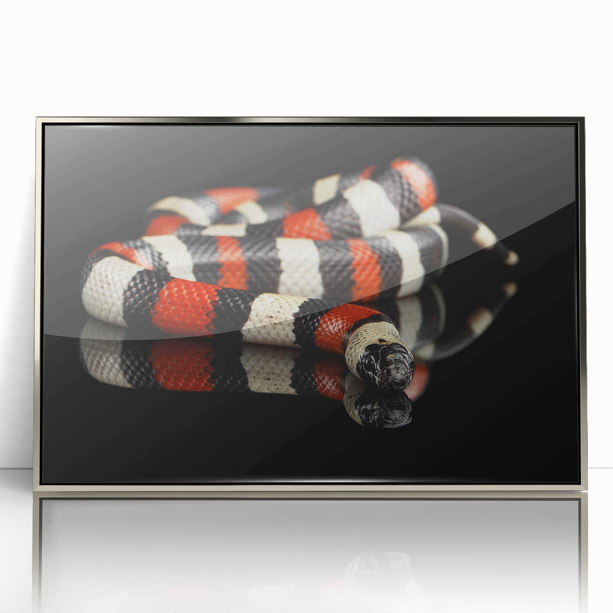 Framed acrylic wall art featuring a striking snake design with silver accents, perfect for reptile enthusiasts, displayed against a neutral background.