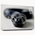 Acrylic wall art displaying a vibrant snake design in side view, showcasing intricate patterns and colors, mounted with pins for easy display, perfect for reptile enthusiasts.