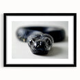 Framed wall art featuring a detailed reptile snake design in vibrant colors, displayed against a sleek black matte frame, perfect for enhancing modern decor.