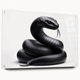 Acrylic wall art collection showcasing a vibrant reptile and snake design in a side view, elegantly pinned for display; perfect for wildlife enthusiasts and home decor.