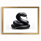 Framed wall art featuring a vibrant reptile and snake design with a gold mat, perfect for adding a touch of exotic elegance to any space. Ideal for animal lovers and home decor enthusiasts.